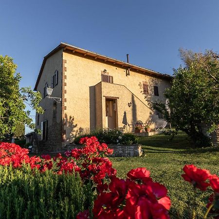 Agriturismo Casanova Asciano Exterior foto
